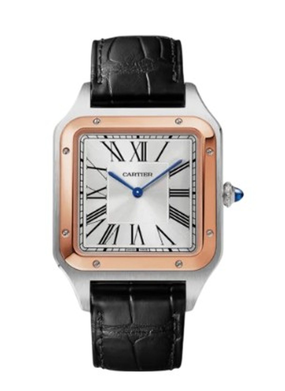 Cartier Santos 6
