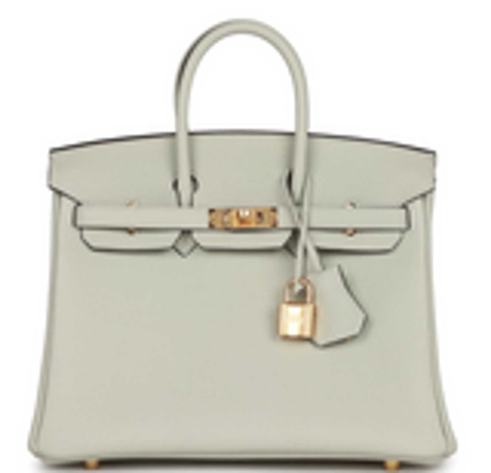 Hermes Handbags Birkin 25