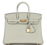 Hermes Handbags Birkin 25 2