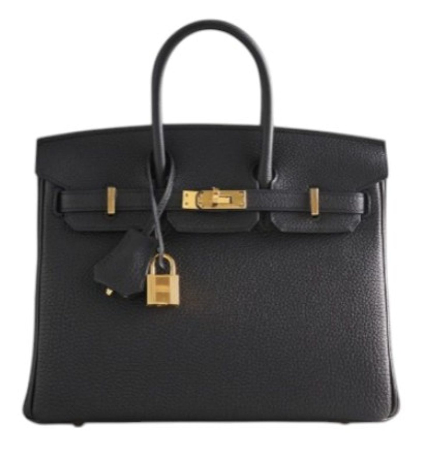 Hermes Handbags Birkin 25