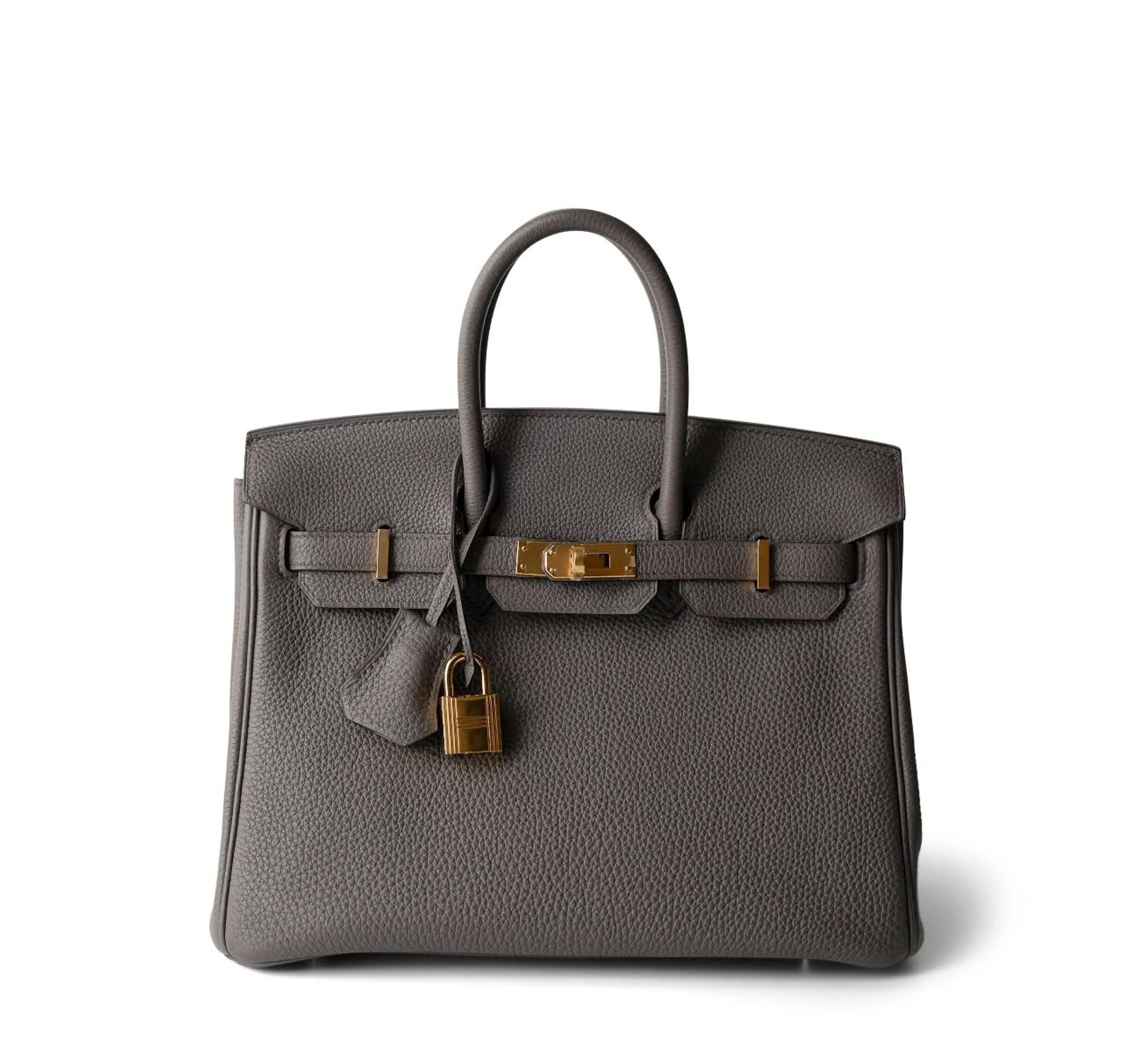 Hermes Handbags Birkin 25