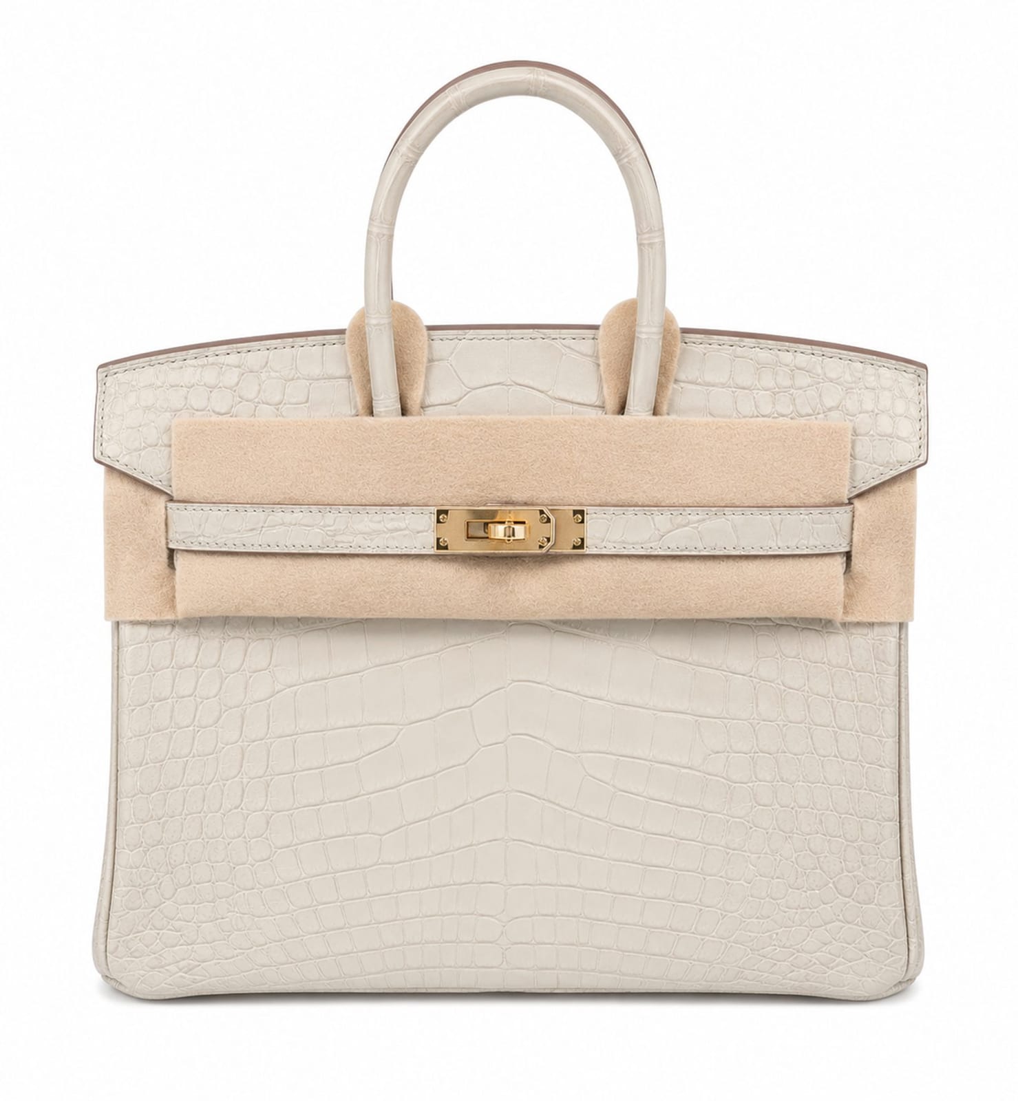 Hermes Handbags Birkin 25 Beton Matte Alligato Gold Hardware
