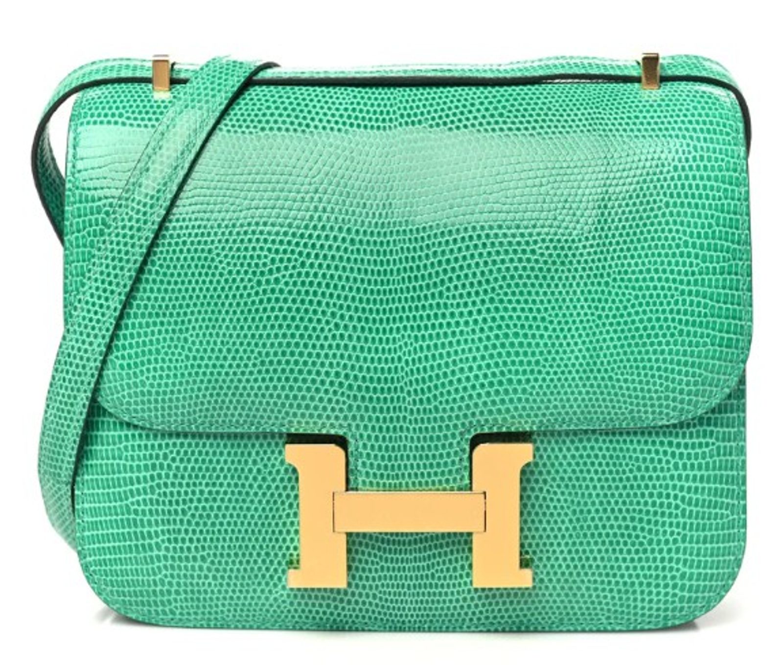 Hermes Handbags Lizard Constance 18 Menthe